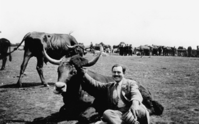Wrangle Your Bulls… With The Hemingway App